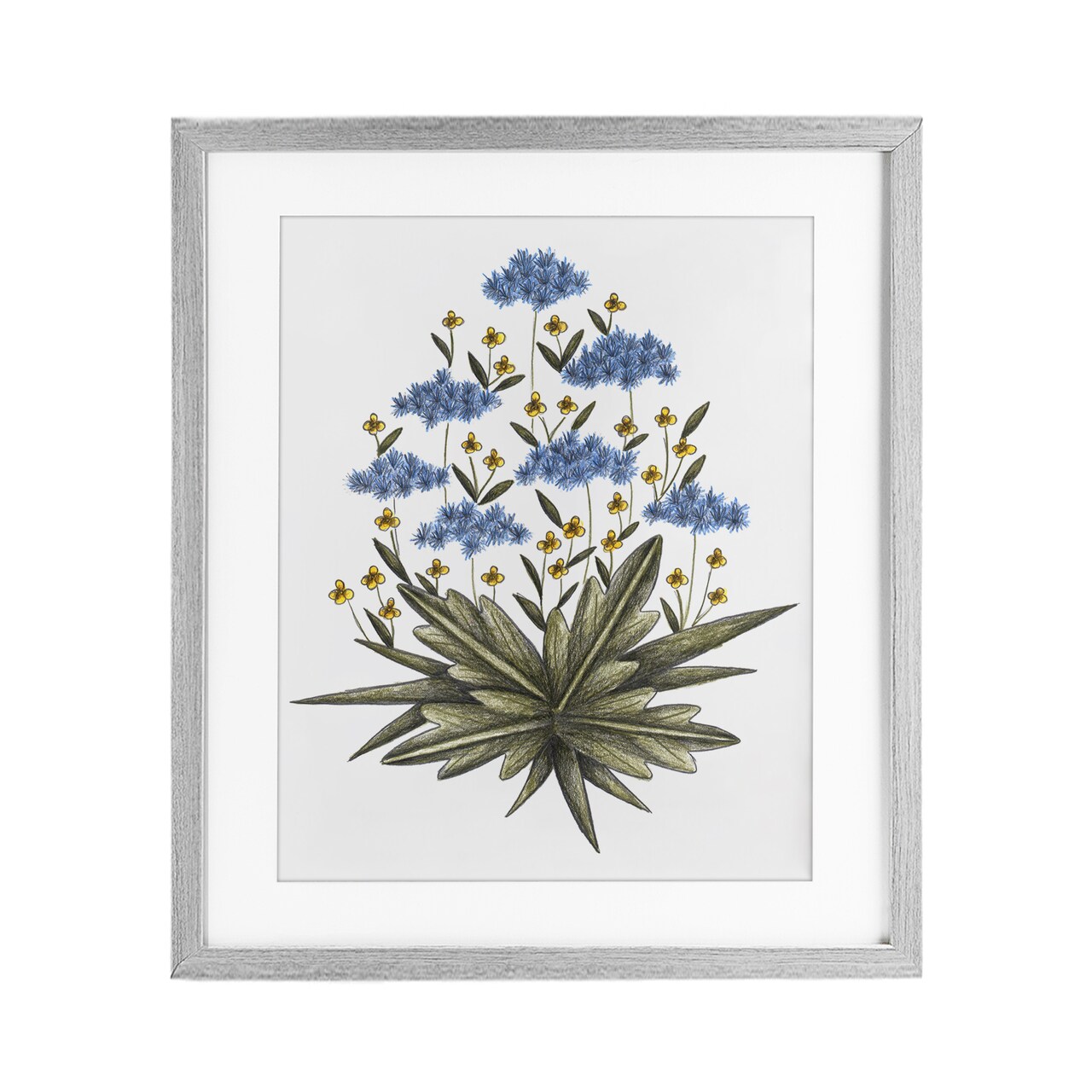 Stupell Industries Where Wild Flowers Bloom Framed Print Under Glass, design by Cecilia Battaini